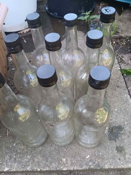 Photo of free Wine bottles (West Midlands B31) #1