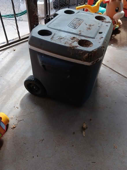Photo of free Cooler (Southwest Albuquerque) #1