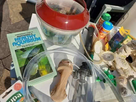 Photo of free Fish Tank accessories (Stubbington PO14) #1