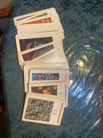 Photo of free Set of plant care cards (West Bristol, PA) #2