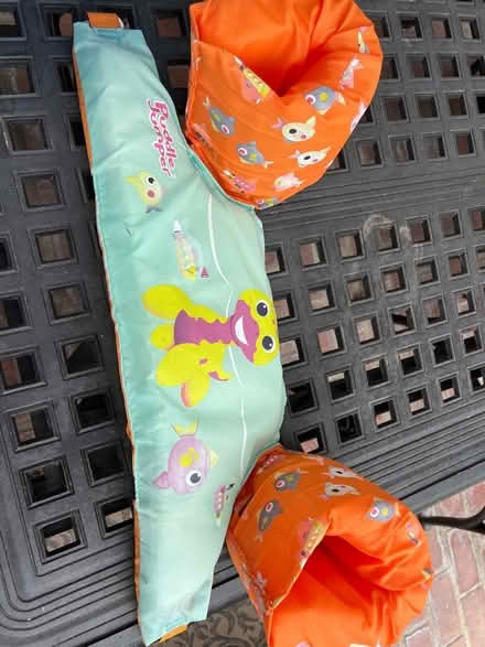 Photo of free Children’s water wings or floaties (Fairview street) #1