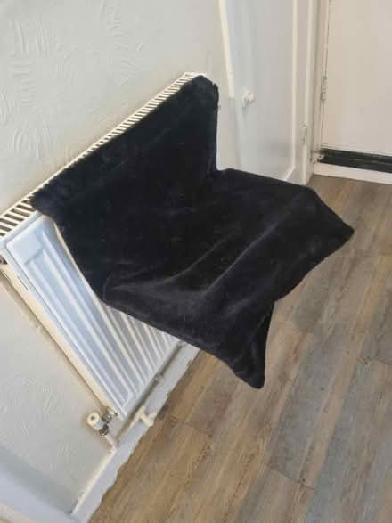 Photo of free Cat bed (SE1) #1