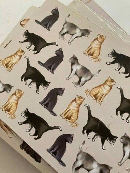 Photo of free 6 placemats (E2) #3