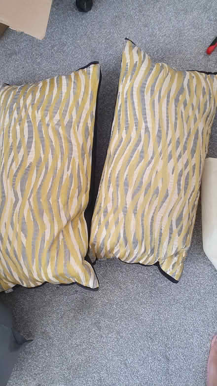 Photo of free KAS Pillows X2 (West bridgford) #2