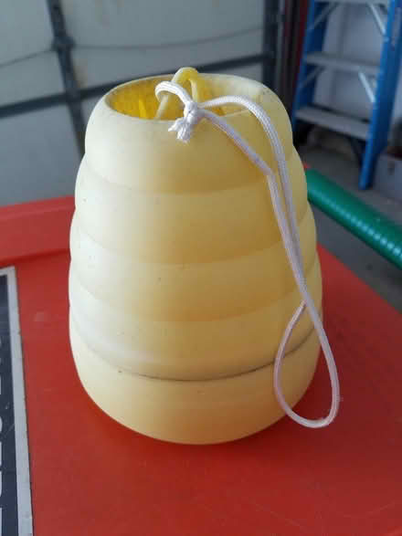 Photo of free Wasp Trap (Poughkeepsie off Wilbur) #1