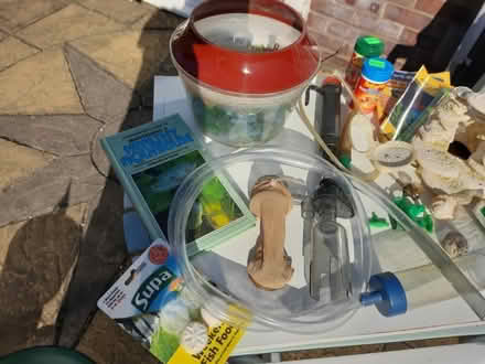 Photo of free Fish Tank accessories (Stubbington PO14) #2