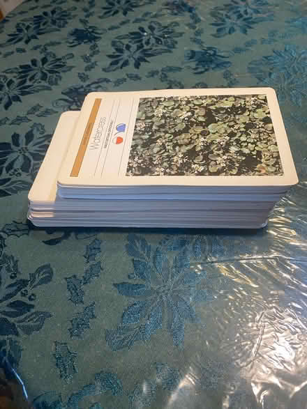 Photo of free Set of plant care cards (West Bristol, PA) #3
