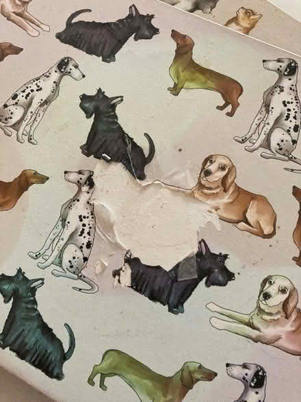 Photo of free 6 placemats (E2) #2