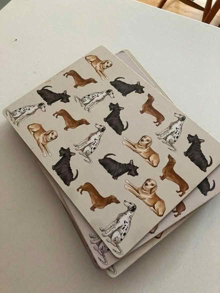Photo of free 6 placemats (E2) #1