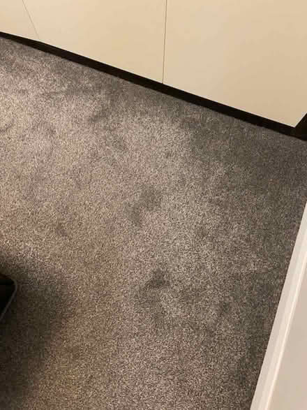 Photo of free Grey carpet x 3 (Dyke Road area BN3) #1