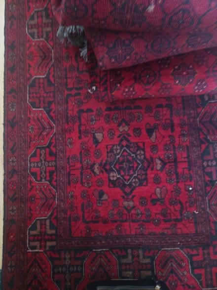Photo of free Persian carpets (Mill Hill, The Hale HA8) #3