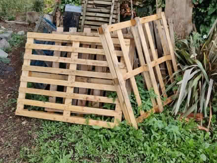 Photo of free Pallets (Yatton BS49) #1