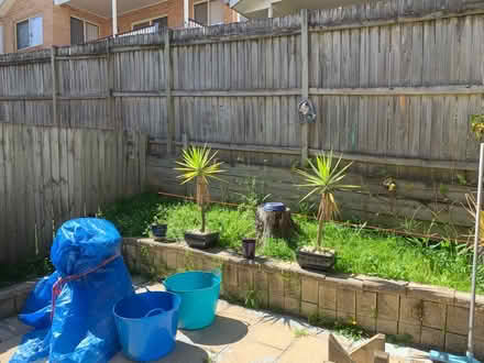 Photo of free 22 lineal metres retaining wall (West Gosford) #3