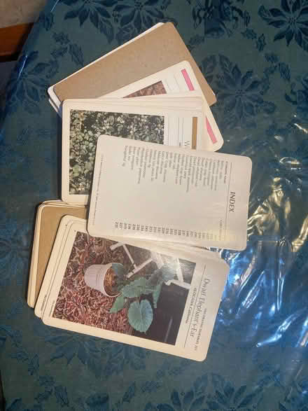 Photo of free Set of plant care cards (West Bristol, PA) #1