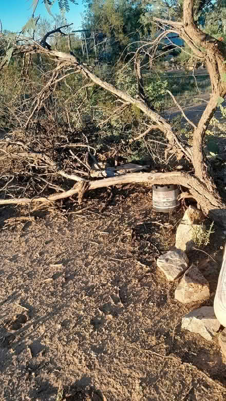 Photo of free wood (Sahuarita) #4