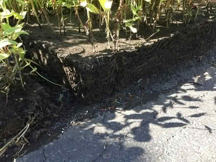 Photo of free Black top soil - 2 yards (Joliet) (Joliet, IL) #2