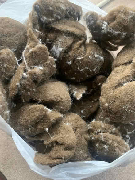 Photo of free Brown Stuffing (Southport PR8) #2