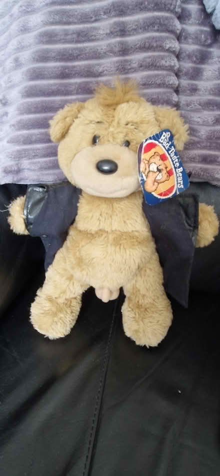 Photo of free Bad Taste Bear - The Flasher. (Carfin ML1) #2
