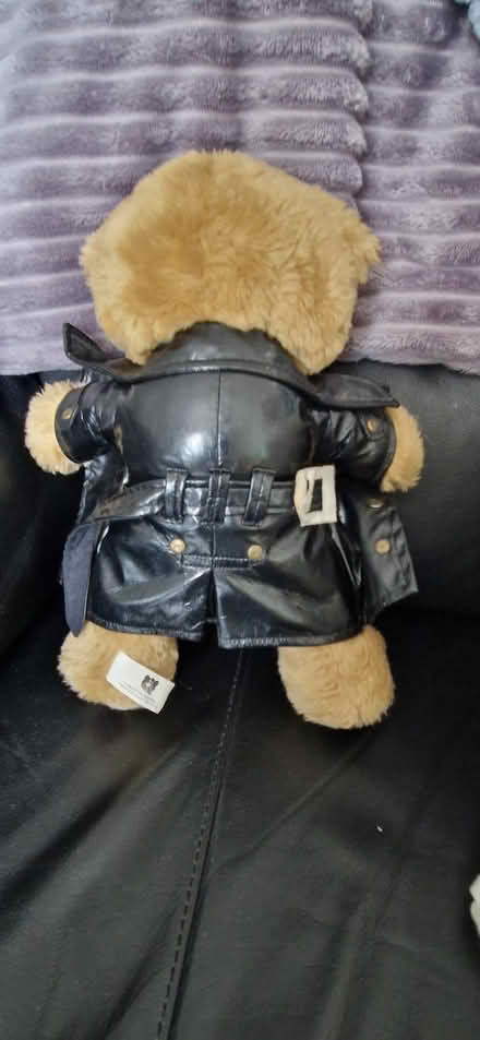 Photo of free Bad Taste Bear - The Flasher. (Carfin ML1) #1