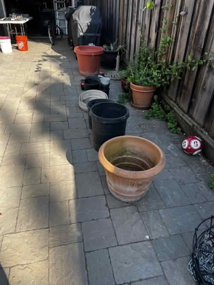 Photo of free Plant Pots and bottoms (Willows) #2