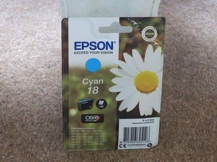 Photo of free Epson Daisy ink cartridges (Southdown) #2