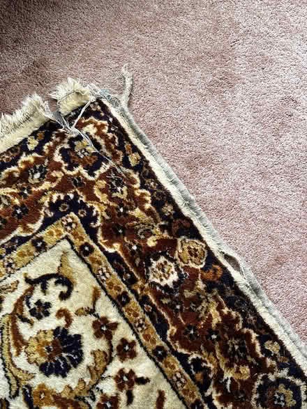 Photo of free Large area carpet (McKinleyville) #3