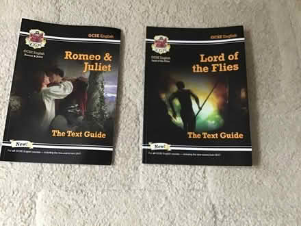 Photo of free GCSE revision guides (BH9) #1