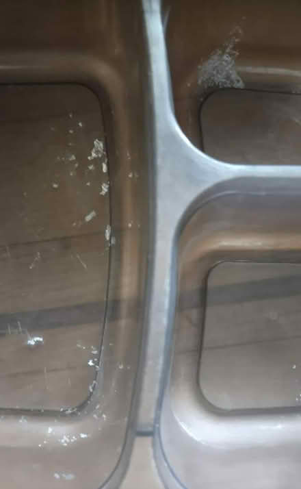 Photo of free Divided plastic storage containers (South Valley) #2