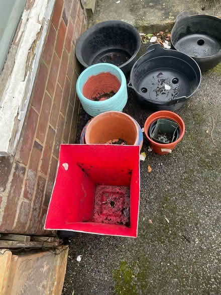 Photo of free Plastic plant pots (Amersham HP7) #2