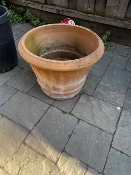 Photo of free Plant Pots and bottoms (Willows) #1