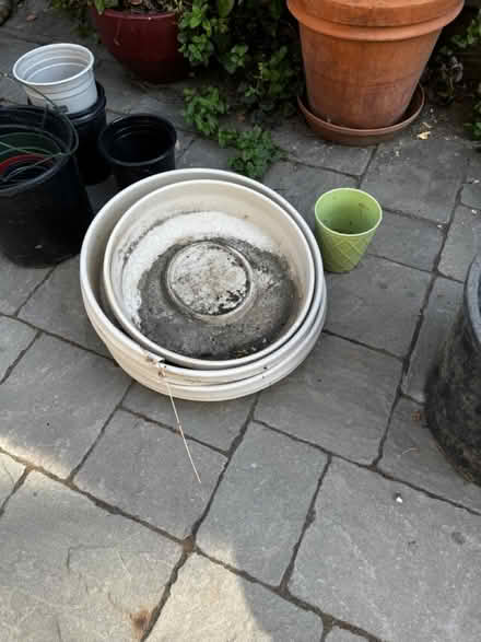 Photo of free Plant Pots and bottoms (Willows) #3