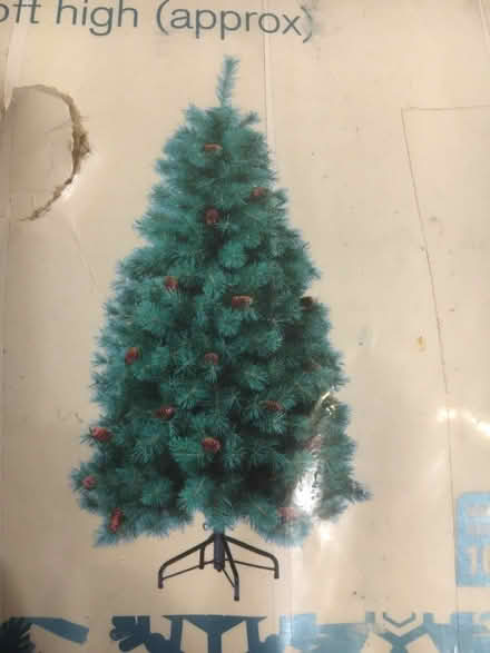 Photo of free Christmas Tree (ME10) #3