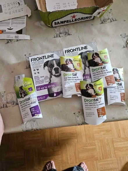 Photo of free Dog and cat worm and flea medicine (Waterside KA3) #1