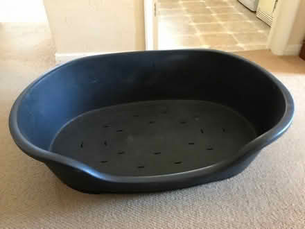 Photo of free Dog Bed (CT9) #1