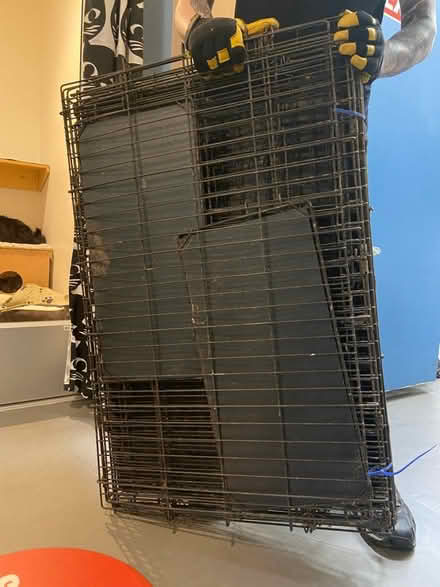Photo of free Large Multi-Tier Cat Cage Condo (Oakland Downtown) #2