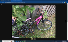Photo of free pink ladies' bike (Heartland area) #1