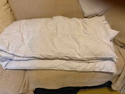 Photo of free Feather filled duvet (Port of Wisbech PE13) #1