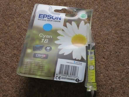 Photo of free Epson Daisy ink cartridges (Southdown) #3