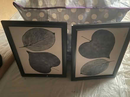 Photo of free Two black lap trays (Camelford PL32) #2