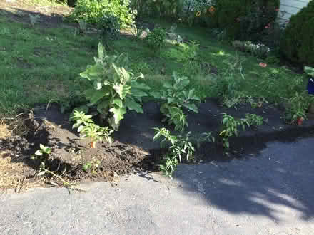 Photo of free Black top soil - 2 yards (Joliet) (Joliet, IL) #1