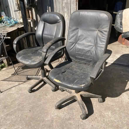 Photo of free Office chairs (Spotswood) #1