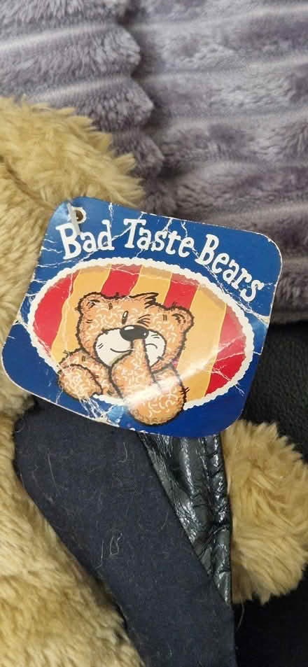 Photo of free Bad Taste Bear - The Flasher. (Carfin ML1) #3