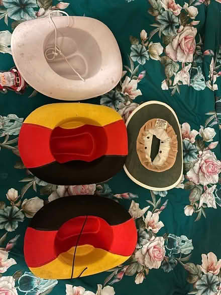 Photo of free Stetsons - some patriotic (Mill End, WD3) #1