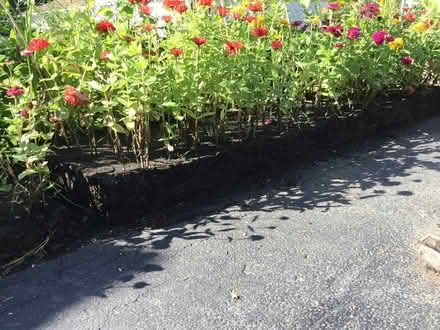 Photo of free Black top soil - 2 yards (Joliet) (Joliet, IL) #3