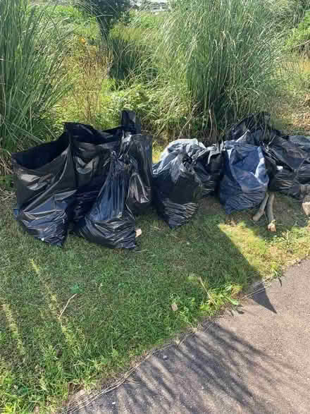 Photo of free Broken up hardcore (Cromer SG2) #2