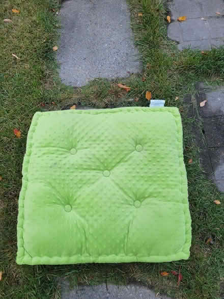 Photo of free Floor pillows (Montgomery) #1