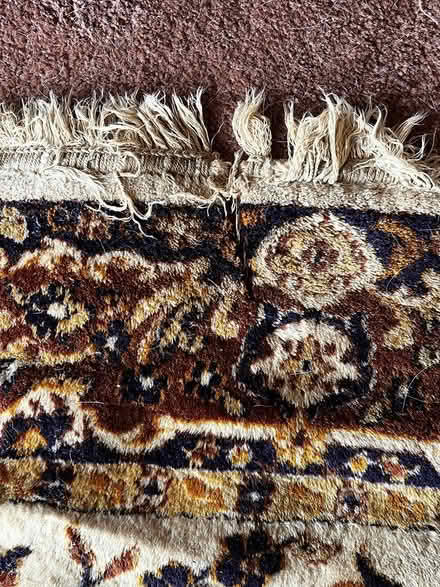 Photo of free Large area carpet (McKinleyville) #2