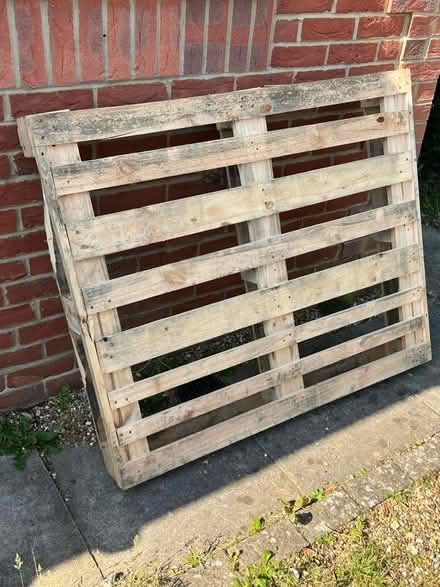 Photo of free Pallet (Littlehampton) #1