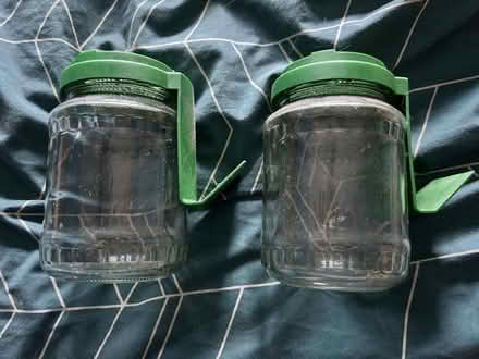 Photo of free Sprouting jars (Musselburgh EH21) #1