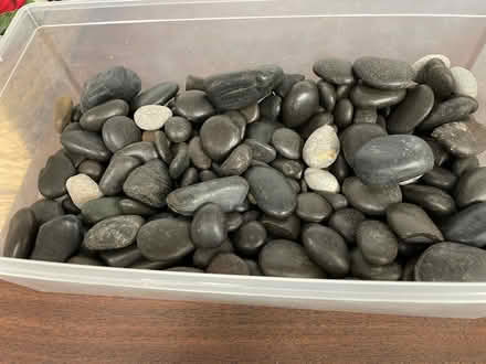 Photo of free Polished Stones (Islington and 401) #1